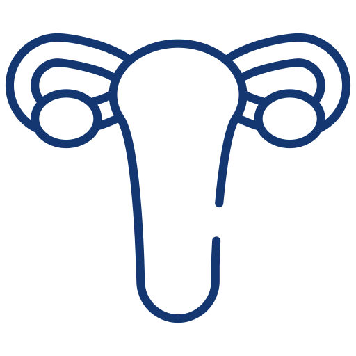 ortho-icon