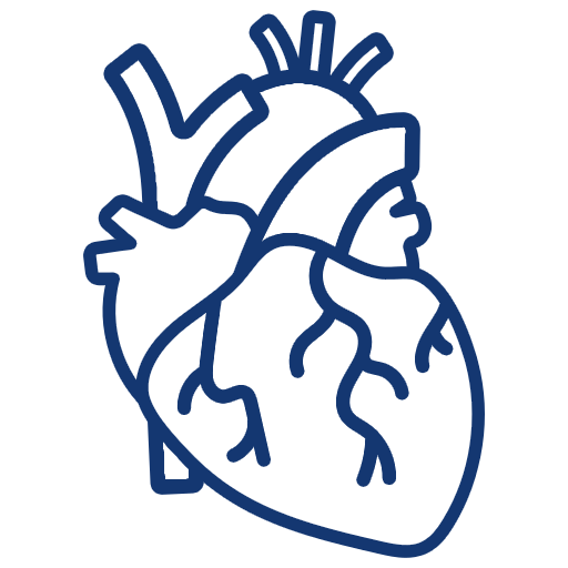 ortho-icon